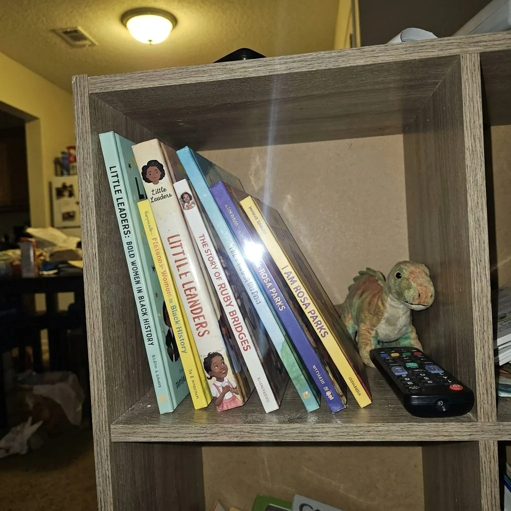 The bookshelf: the same Black history books every family already owns